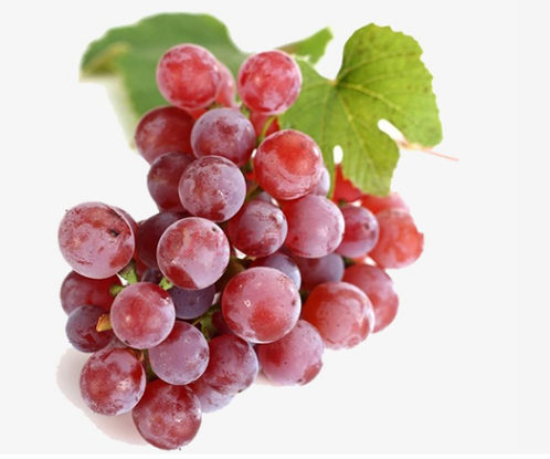 北京盛华佳业商贸有限公司